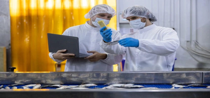 Quality control inspectors reviewing food safety controls during ISO 22000 audit activities in a processing plant